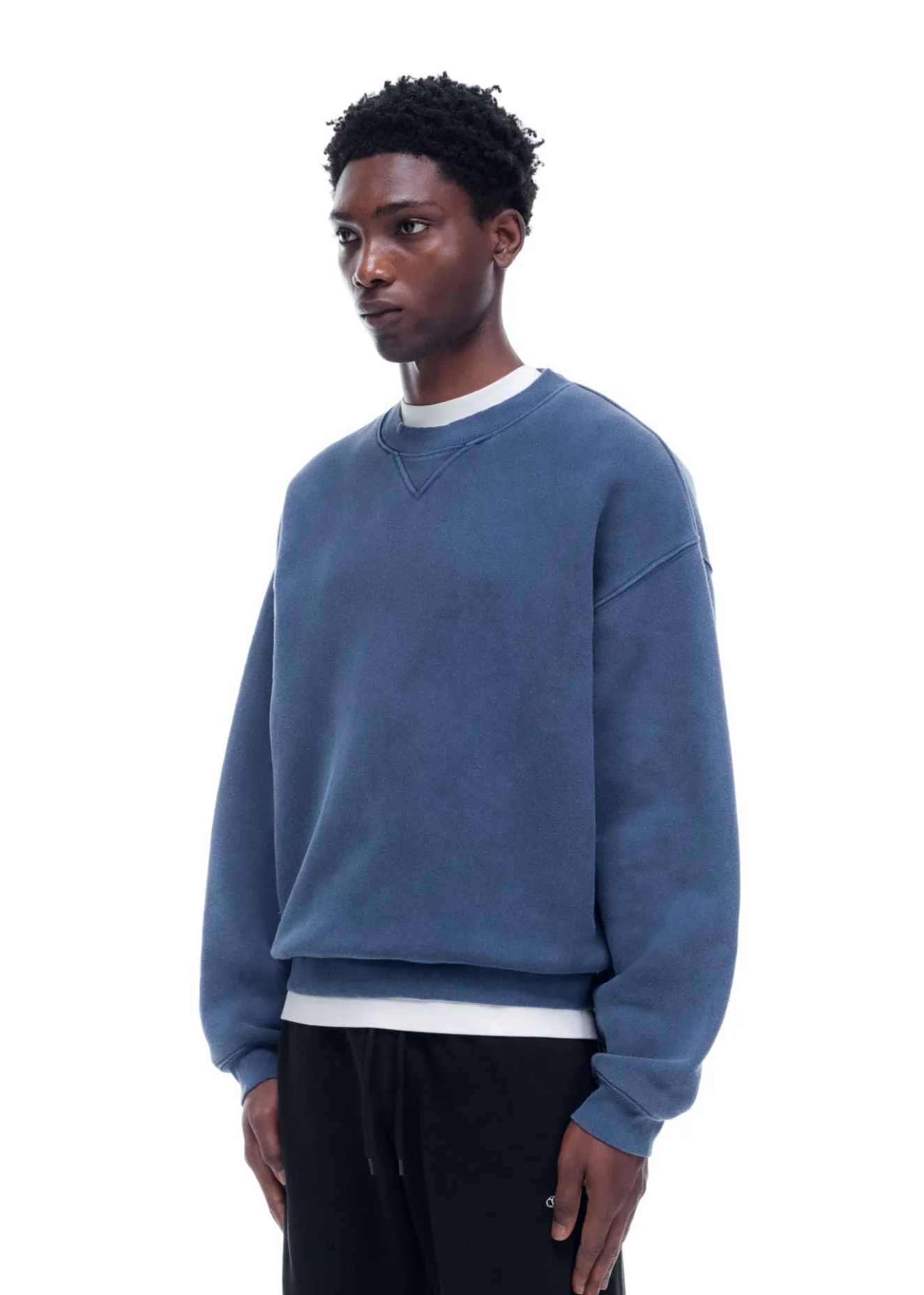 Online DANBURY SWEATSHIRT Sweatshirts
