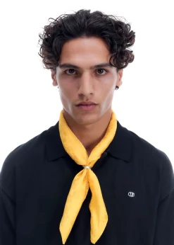 Best DIAMOND MONOGRAM SCARF Accessories