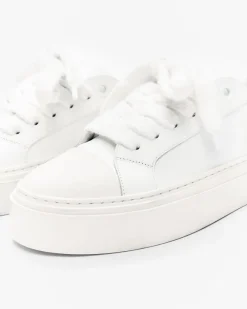 Clearance THE WILSON COURT SNEAKER Footwear